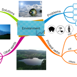 The environment vocabulary for intermediate learners
