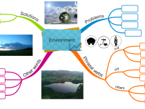 Environment vocabulary mind map