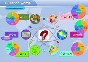 Read more about the article Question words with the verb to be