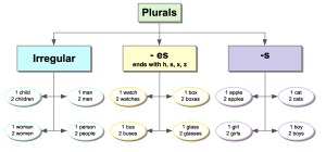 Read more about the article Plurals for elementary students