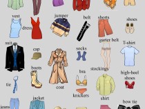 Clothes vocabulary infographic