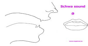 Read more about the article Pronunciation of the Schwa Sound