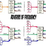 Adverbs of Frequency for Elementary Students of English