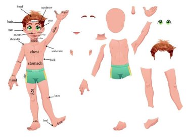 Parts of the body – vocabulary